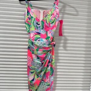 Woman’s Lily Pulitzer Dress